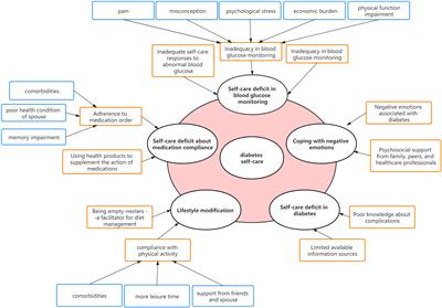 Frontiers Self Care Experiences of Empty Nest Elderly Living